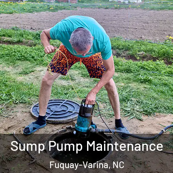  Sump Pump Maintenance Fuquay-Varina, NC